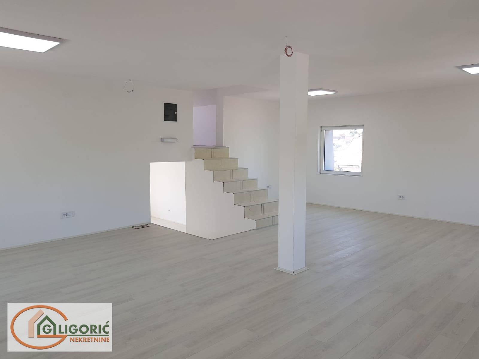 Lokal Zvezdara, Mali Mokri Lug, 320m2 - Slika 3