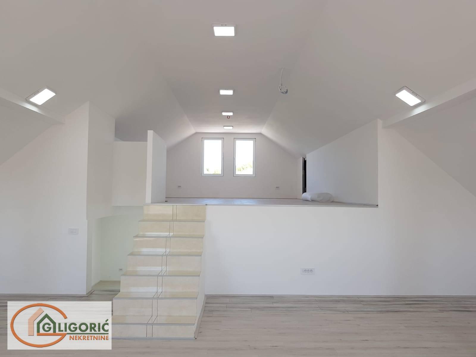 Lokal Zvezdara, Mali Mokri Lug, 320m2 - Slika 4
