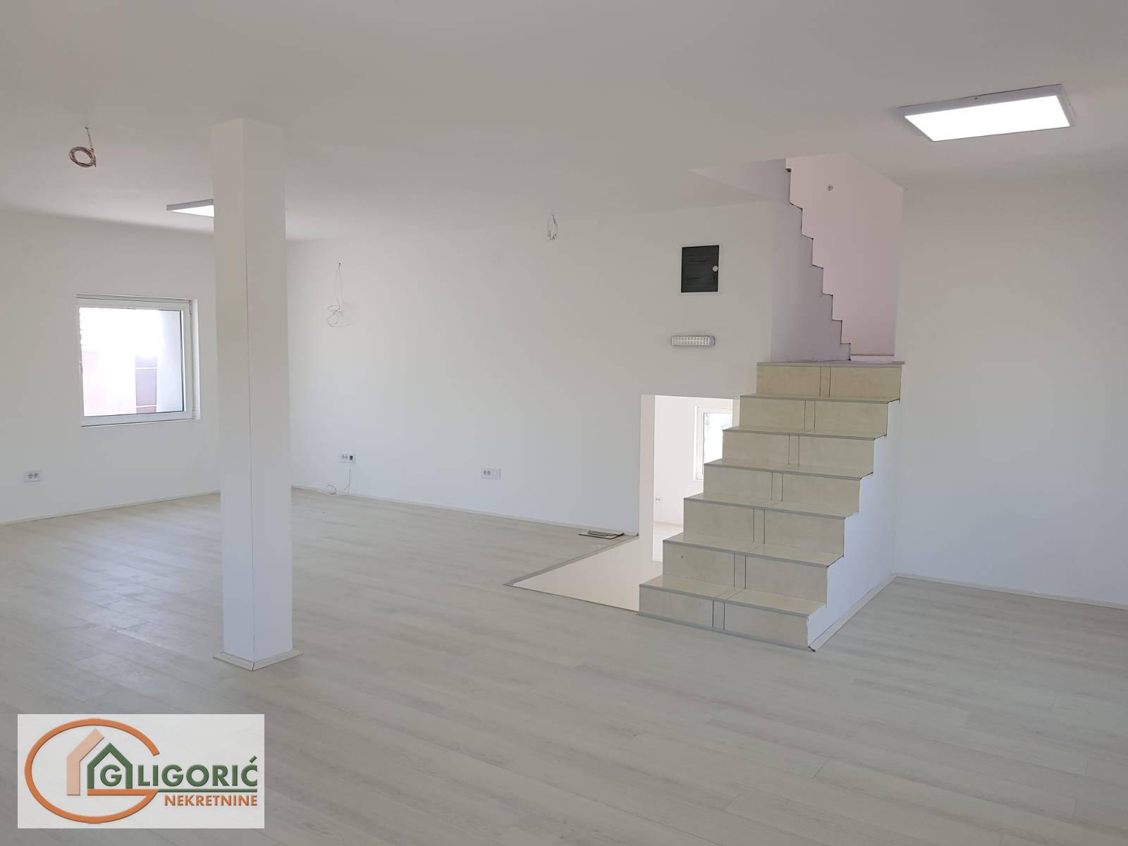 Lokal Zvezdara, Mali Mokri Lug, 320m2 - Slika 5