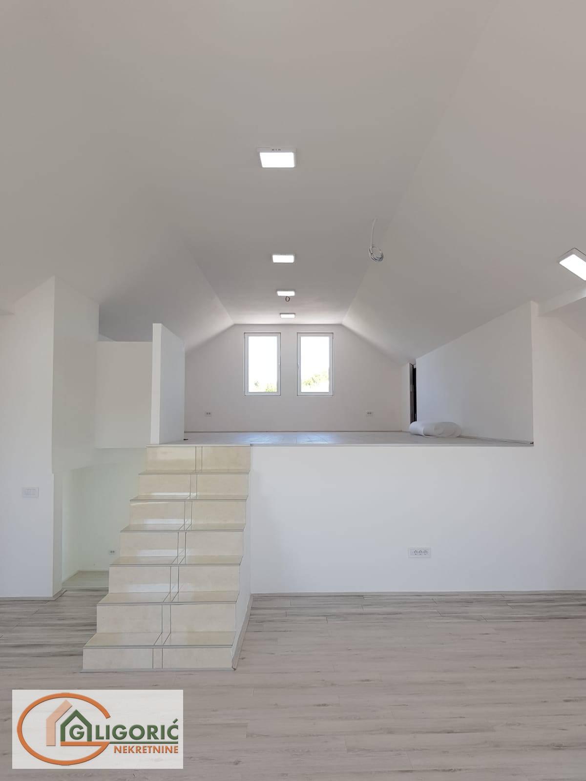 Lokal Zvezdara, Mali Mokri Lug, 320m2 - Slika 6