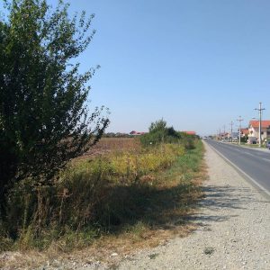 busiije01